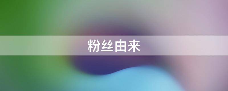 粉丝由来 粉丝是从哪来的