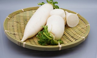 白萝卜怎么吃化痰（白萝卜怎么吃化痰效果好）