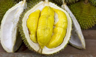 生的榴莲肉怎么吃（生的榴莲肉怎么吃好）