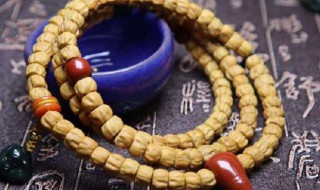 柏香籽怎么盘（横打百香籽怎么盘）