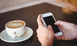 sf是啥意思（sf的全称是什么意思）