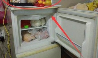 黄金能放冰箱吗（黄金可以放冰箱冷藏室吗）