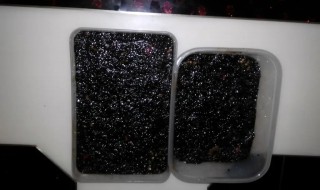 阿胶要放冰箱吗（阿胶要放冰箱吗冬天）