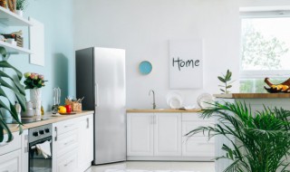 冰箱不可以横着放吗 冰箱不可以横着放吗