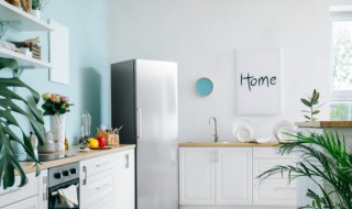 冰箱可以放卫生间吗（卫生间里放小冰箱）