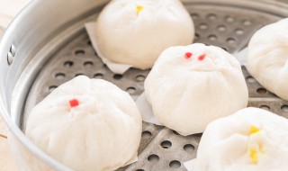 包子可以放冰箱吗 酵母发的包子可以放冰箱吗