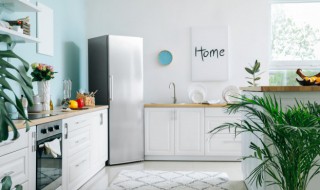 鸽子蛋要放冰箱吗（鸽子蛋要放冰箱吗能放多久）