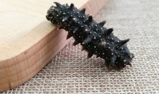 海参能放冰箱冷冻吗（海参可以放冰箱冷冻吗）