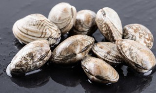 花甲能放冰箱冷冻吗（花甲能放冰箱冷冻吗多久）