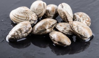 白贝能放冰箱吗 白贝能放冰箱吗多久