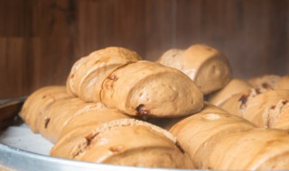 馒头要放冰箱吗 馒头需要放冰箱冷藏吗