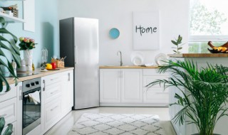 开水可以放冰箱冷冻吗 开水能放冰箱冷冻吗