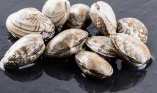 炒熟花甲可以放冰箱吗 炒好的花甲能放冰箱吗