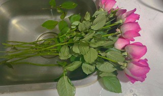 怎么醒花（买回家的鲜花怎么醒花）