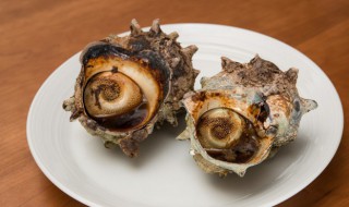 海螺能放冰箱冷冻吗（海螺能放冰箱冷冻吗）