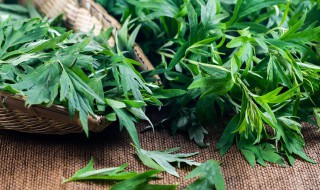 艾草煮多久才能用 艾草煮多久才能用热水泡脚