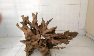 沉木煮完泡多久才能用那（沉木煮过后还要泡吗）