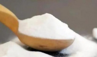 小苏打起到什么作用（炖豆角里面放小苏打起到什么作用）