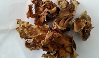 干木棉花清洗方法 干木棉花清洗方法图片