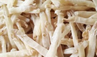 清洗干沙虫的方法（清洗干沙虫的方法有哪些）